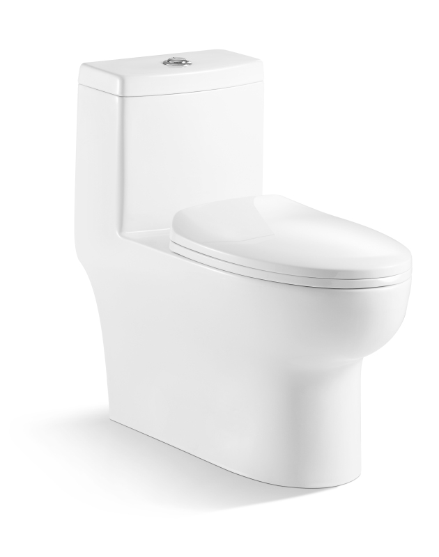 T76 One piece toilet