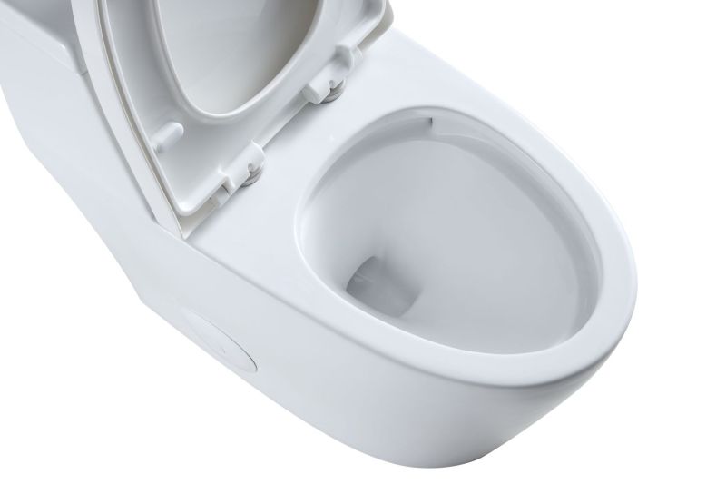 T80D Flush Elongated One-Piece Toilet (Seat Included)
