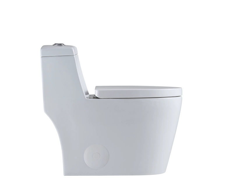 T80D Flush Elongated One-Piece Toilet (Seat Included)