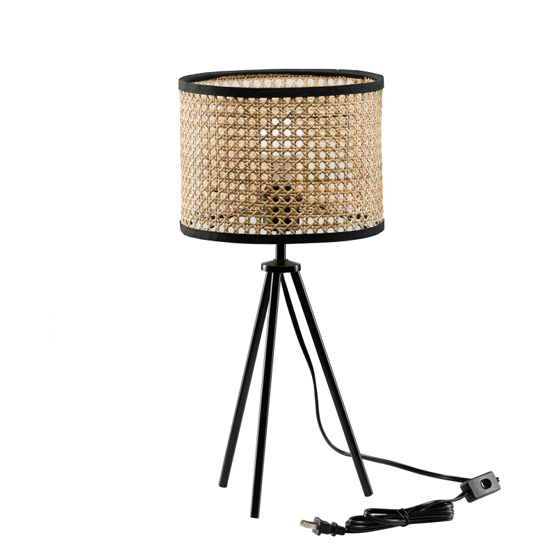 D01-1137005  Temesa Rattan 20.8" Table Lamp with In-line Switch Control and Metal Legs