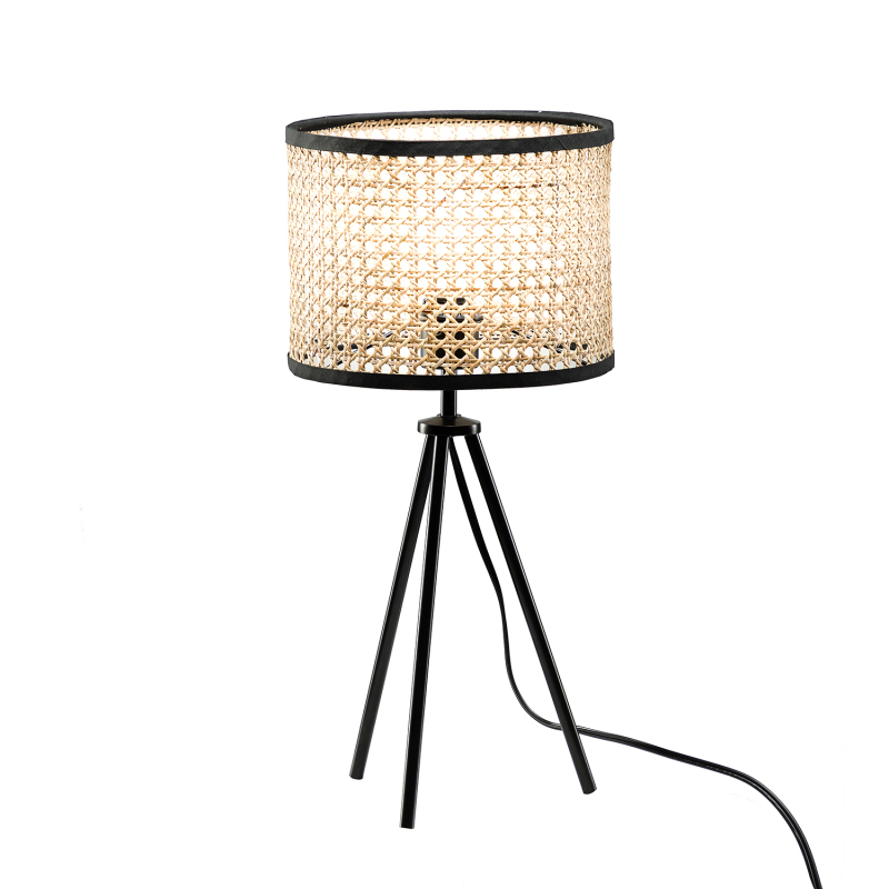 D01-1137005  Temesa Rattan 20.8" Table Lamp with In-line Switch Control and Metal Legs