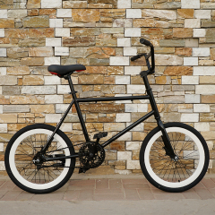 Istaride 20 Inch fixie bike carbon steel frame city bike adult road bicycle