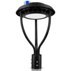 LED Post Top Light