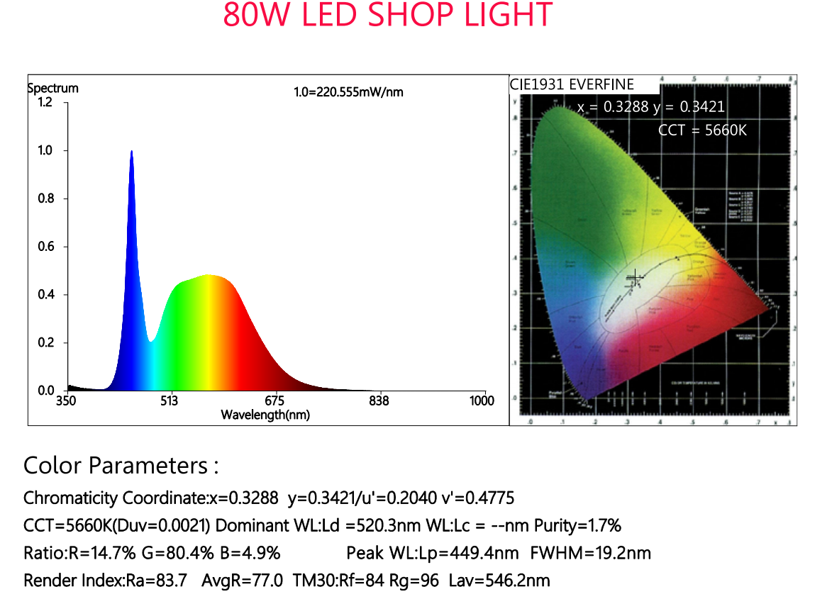 LED Shop Light