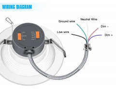 LED Down Light