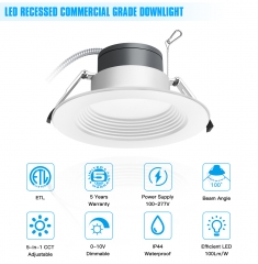 LED Down Light