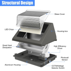 LED Wall Pack Light