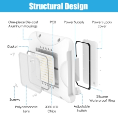 LED Canopy Light