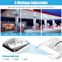 LED Canopy Light