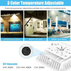 LED Canopy Light