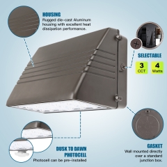 LED Full Cut-off Wall Pack Light