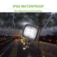 LED Knuckle Flood Light