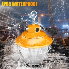 LED Pro Temporary Work Light