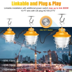LED Pro Temporary Work Light