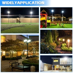 LED Pole Area Light