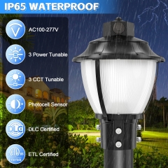 LED Pole Area Light