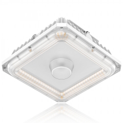 LED Canopy Light