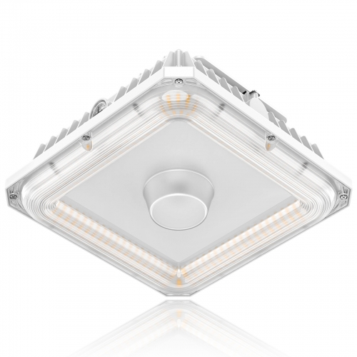 LED Canopy Light