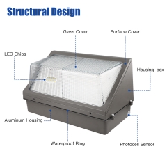 LED Wall Pack Light