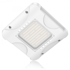 LED Canopy Light