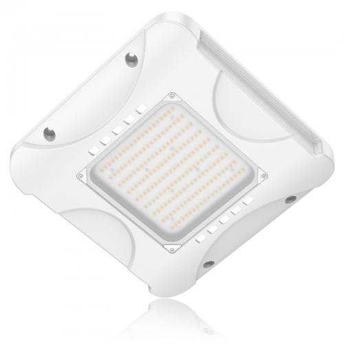 LED Canopy Light