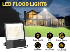 LED Flood Light