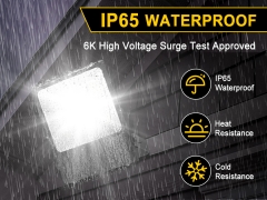 LED Flood Light