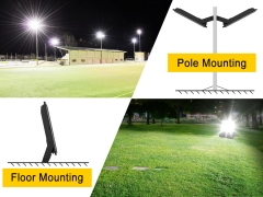 LED Flood Light