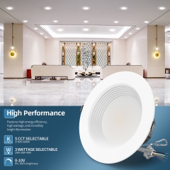 LED Down Lights