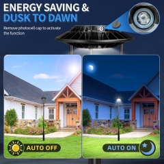 LED Post Top Light