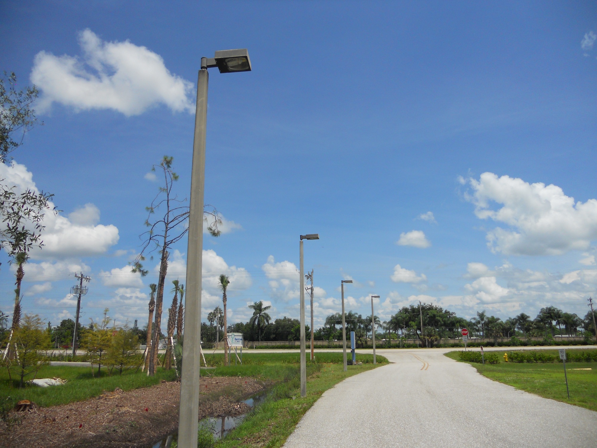 LED Corn light