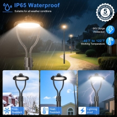 LED Pole Area Light