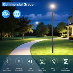 LED Pole Area Light