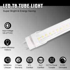 LED T8 Tube