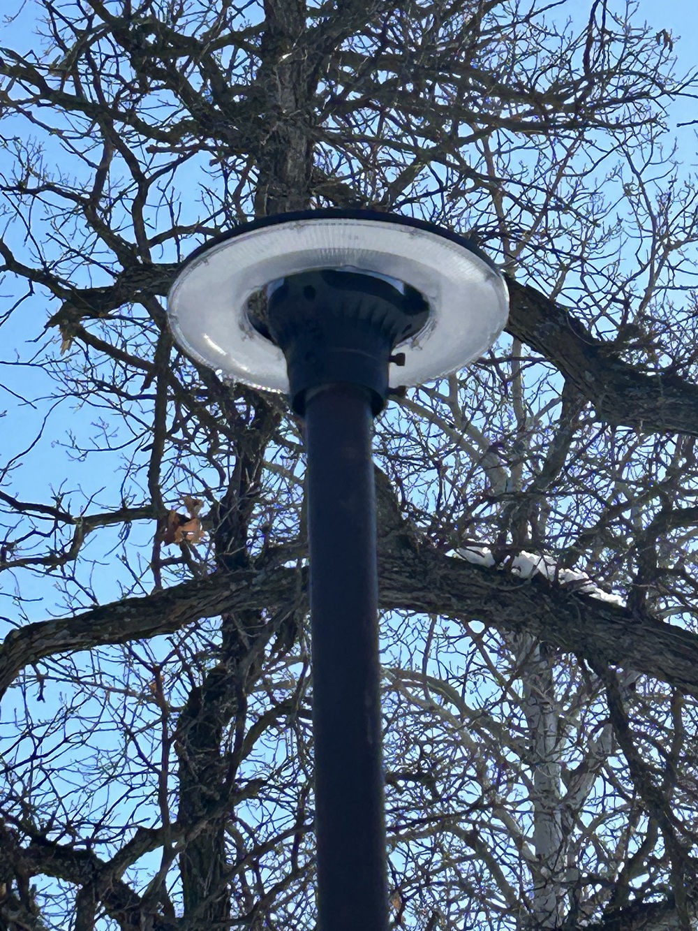 LED Post Top Lights