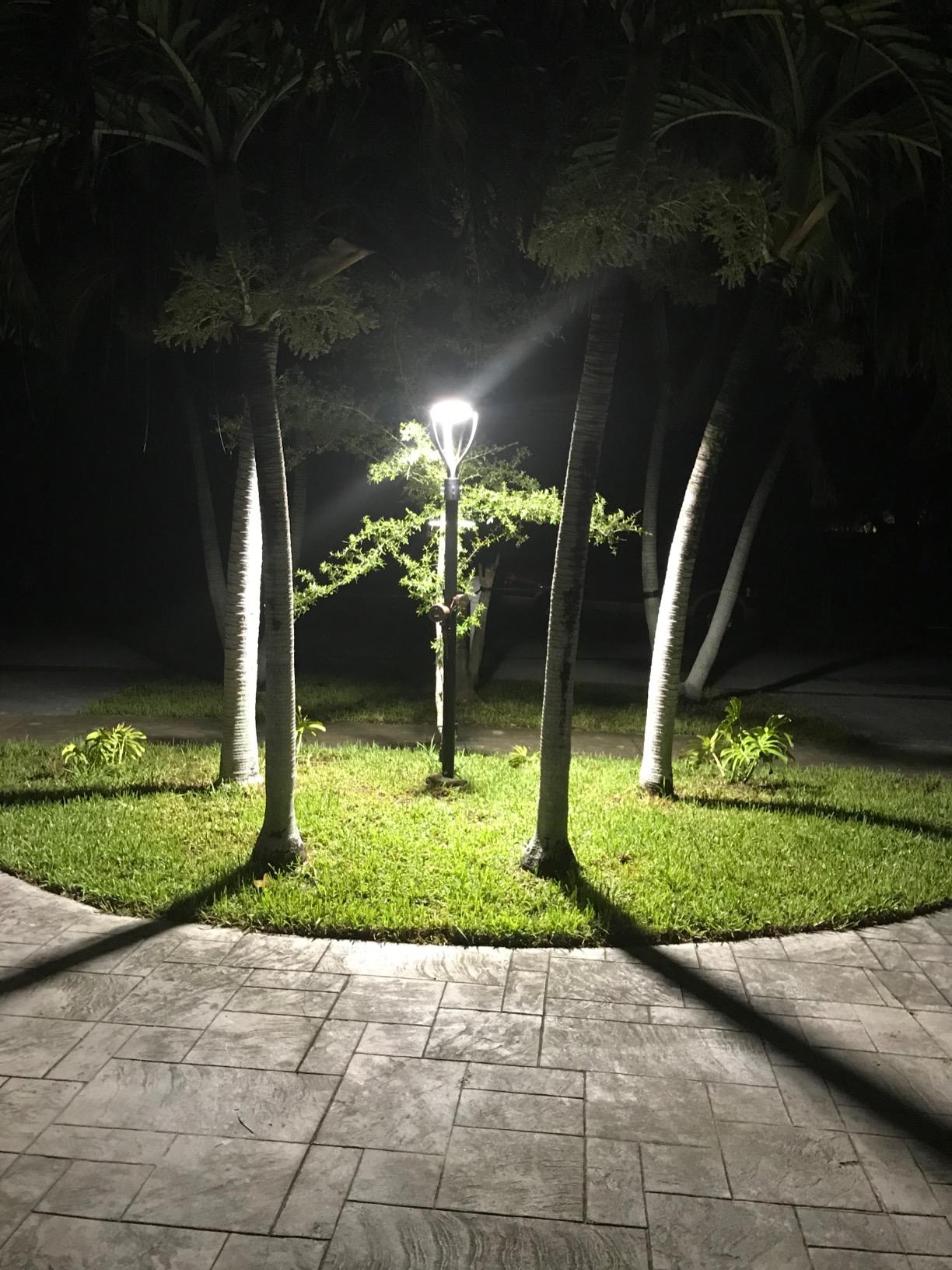 LED Post Top Lights