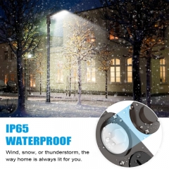 LED Shoebox Area Light
