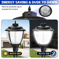 LED Pole Area Light