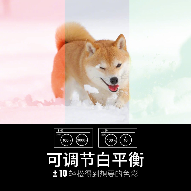 曼比利CFL-200C全彩视频直播间补光灯 rgb氛围通透摄影灯