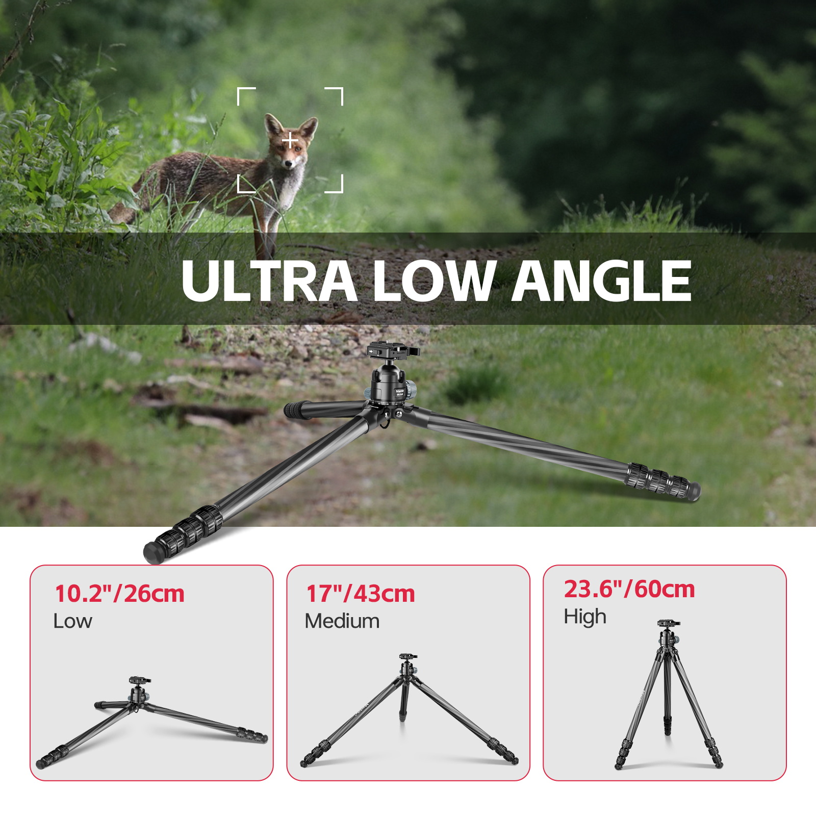 Manbily Hunt Shooting Tripod Outdoor & Camera Arca Swiss Adapter 360° Ball Head Holder WZ-324+PA03
