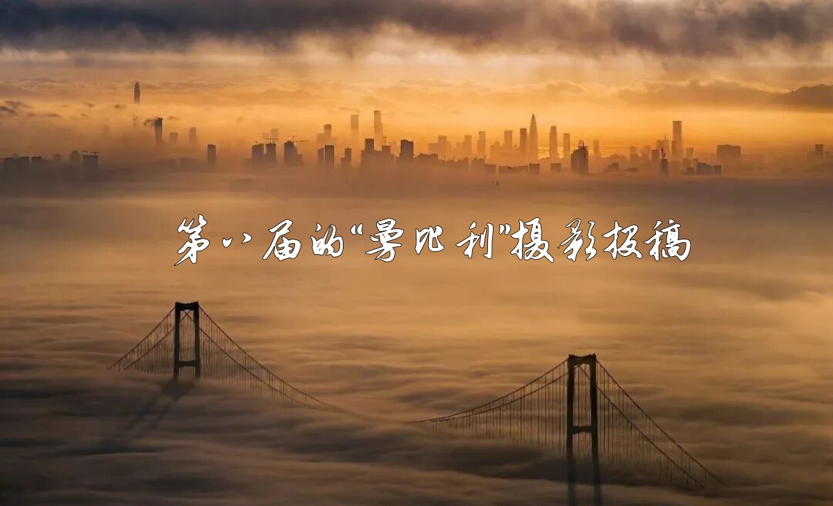 第八届“曼比利”杯