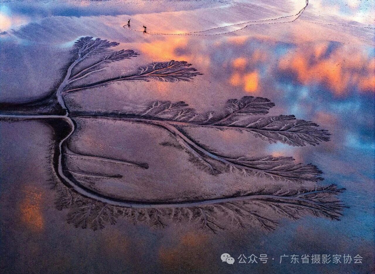 第八届“曼比利”杯