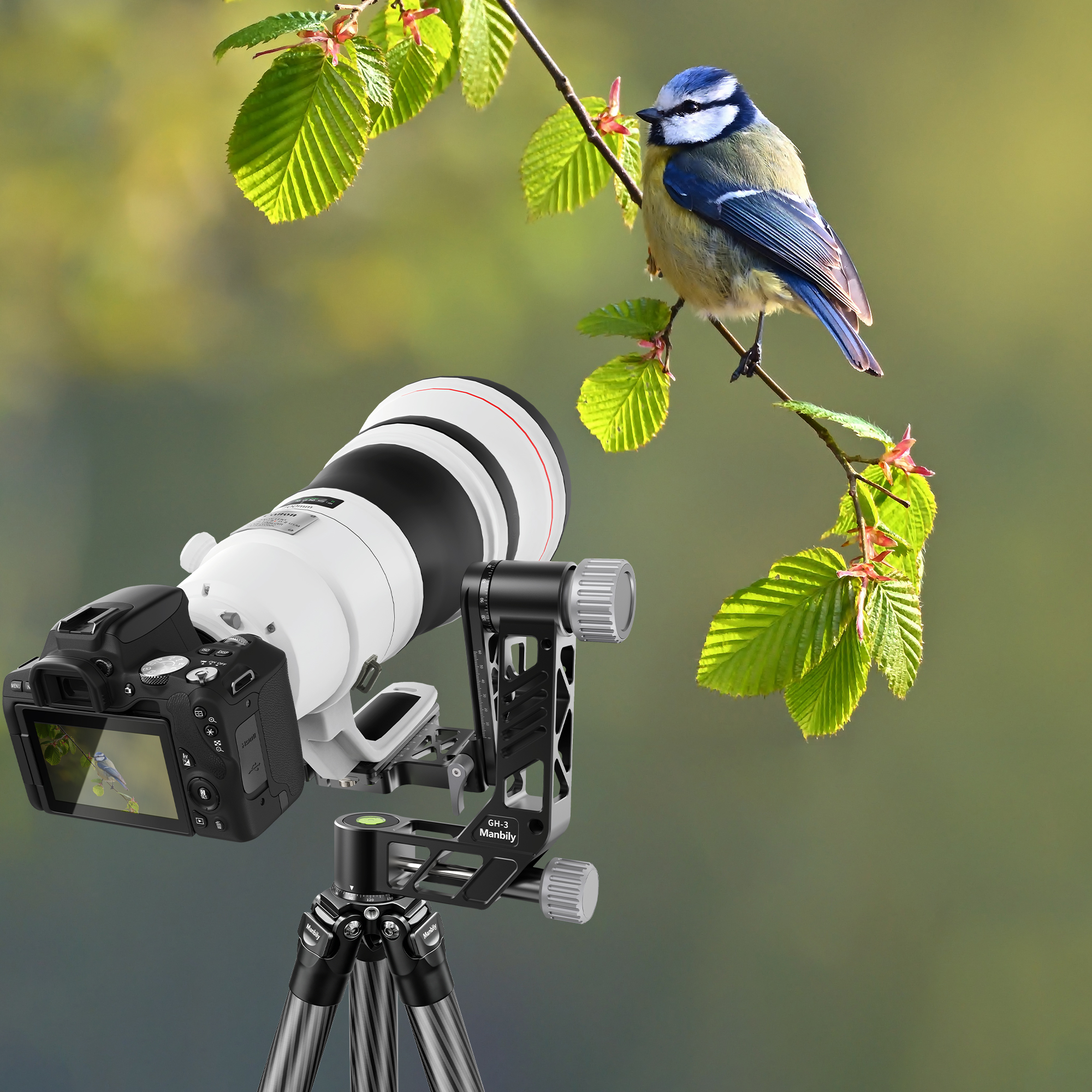 Manbily WZ-324 + GH-3 Photographic Tripod for Hunting Wildlife Carbon Fiber High Tripod Manbily Tripod for Hunting Wildlife Carbon Fiber