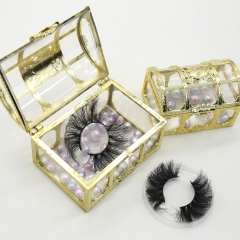 Novel Fantasy Stock Eyelash Box