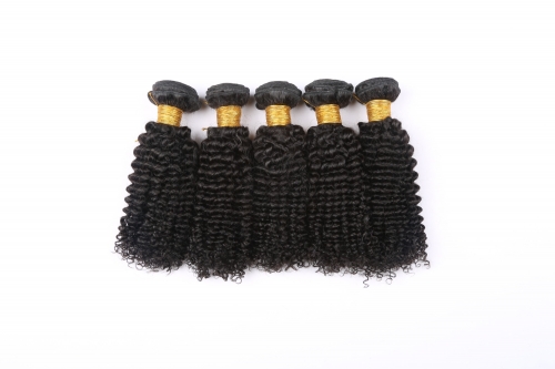 10A Deep Curl Natural Bundle