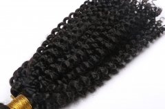 10A Deep Curl Natural Bundle