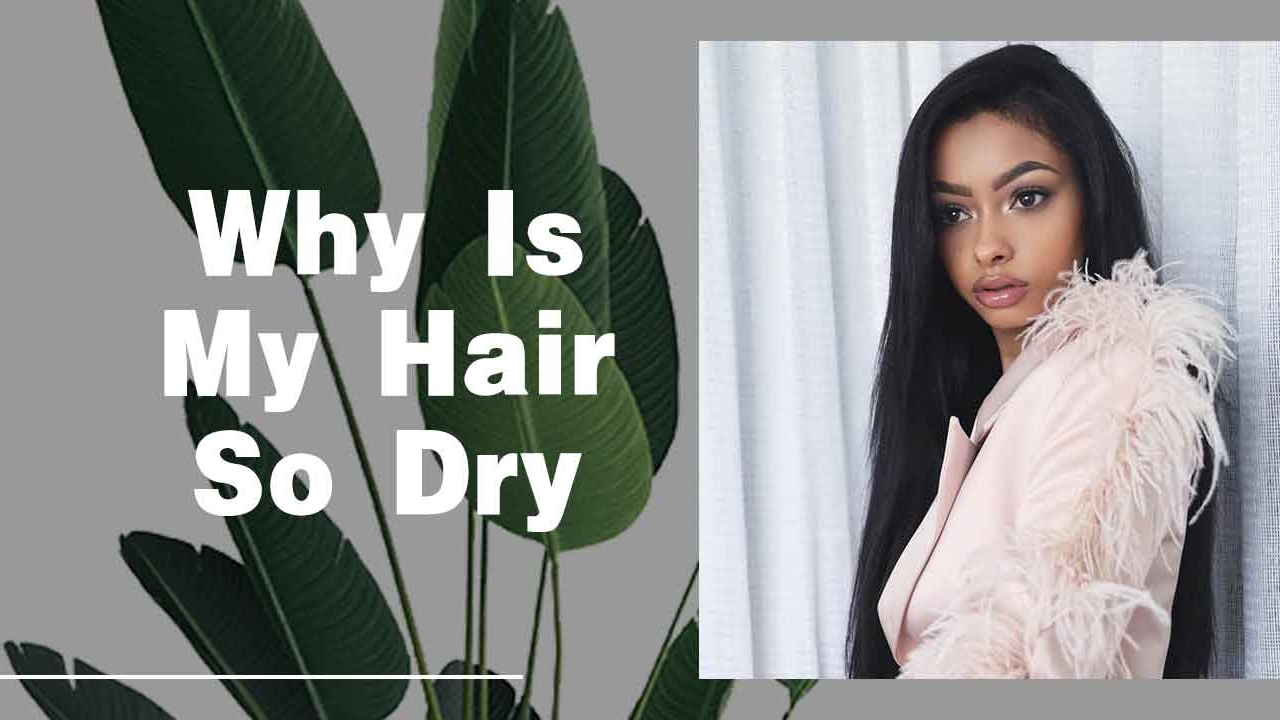 Why Is My Hair So Dry?