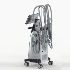 Máquina para esculpir el cuerpo vertical ems