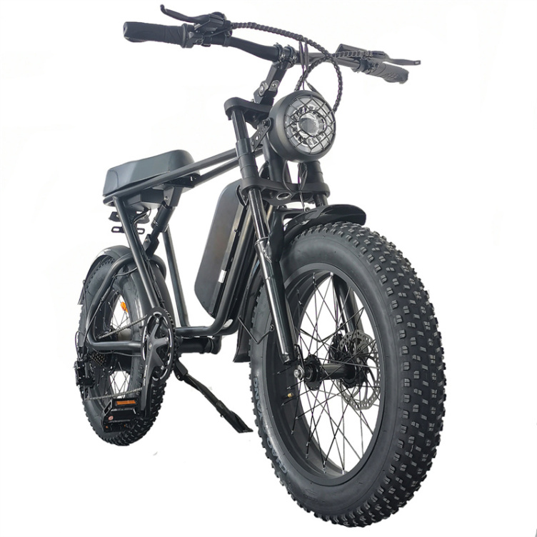 1000w Fat Tire Electric Hybrid Bicycle With Quality Choice