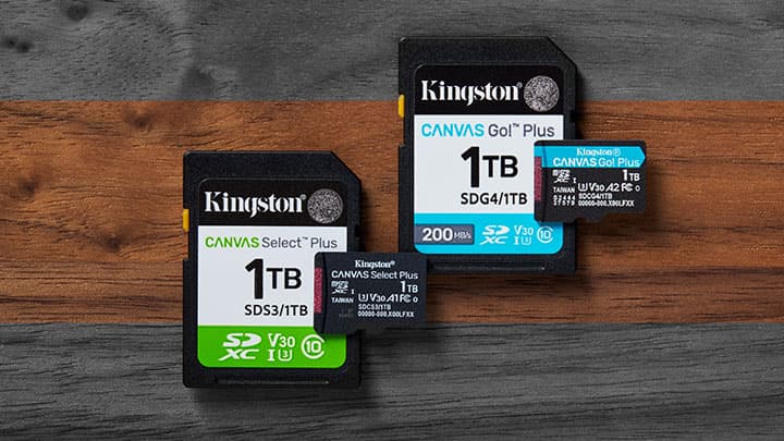 SD & microSD